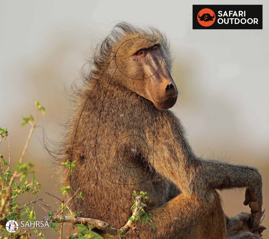 Targets Sa Hunting Rifle